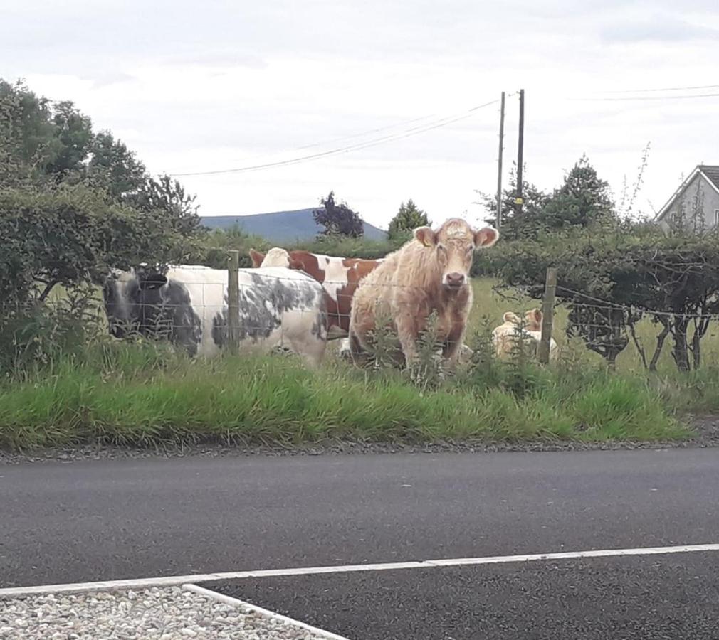 Mountain View Cottage Limavady Buitenkant foto